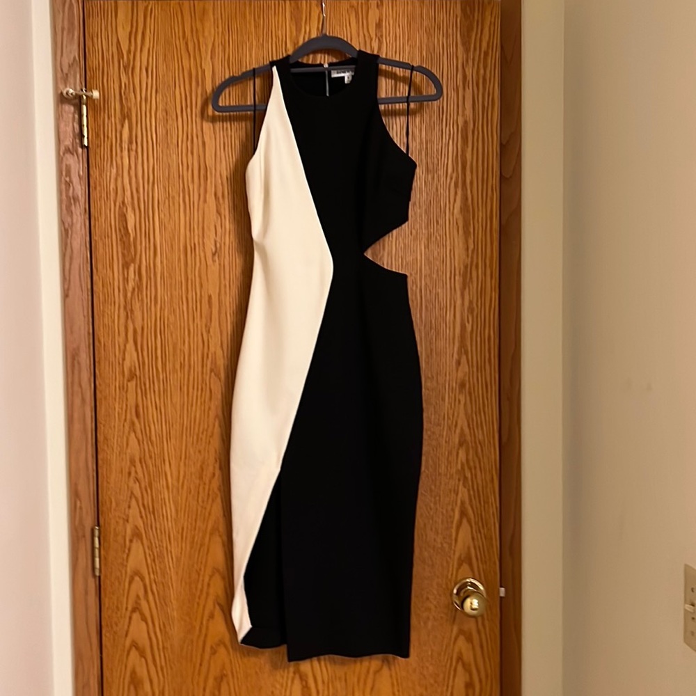 Elizabeth and James Lunai Dress Size 0